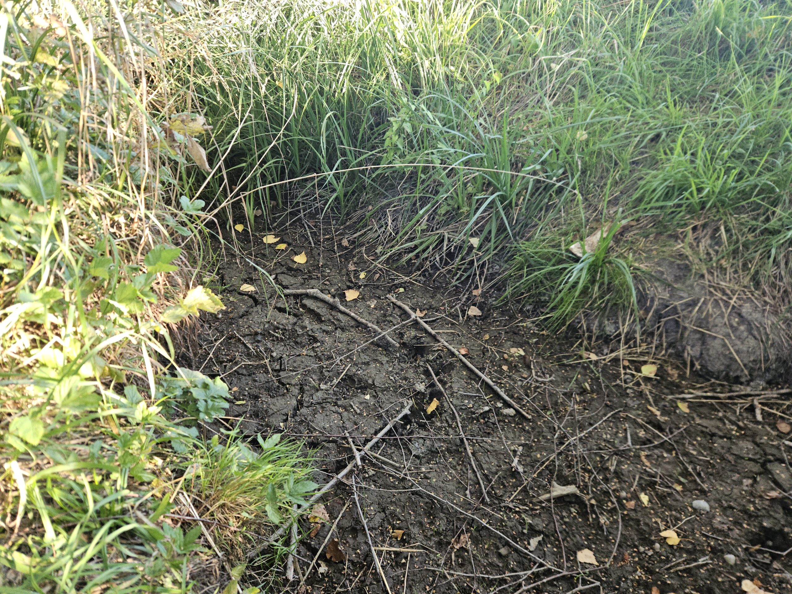 Der Löschenbach ist trocken!